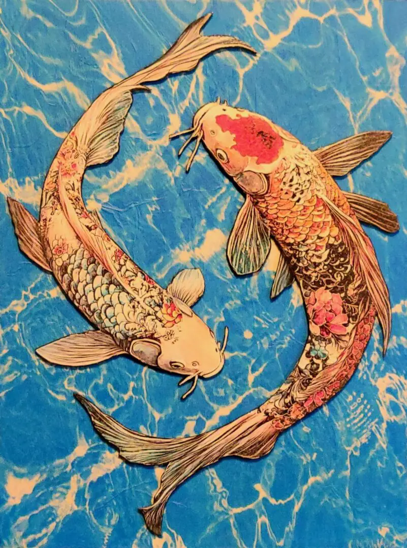 Two koi fish swimming in a circle on the water.